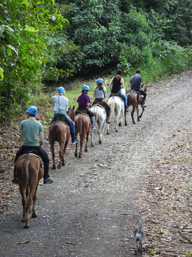 Imagen de Tour a Caballo