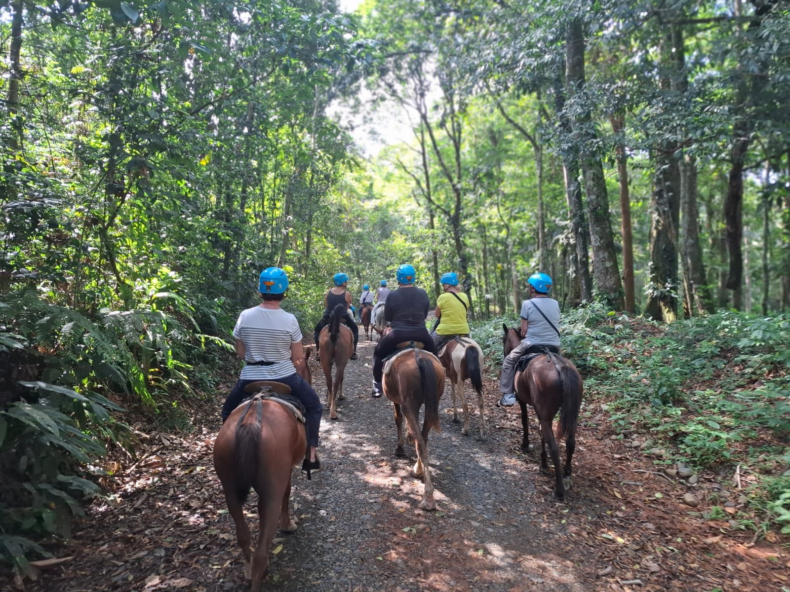 Imagen de Tour a Caballo Sarapiquí