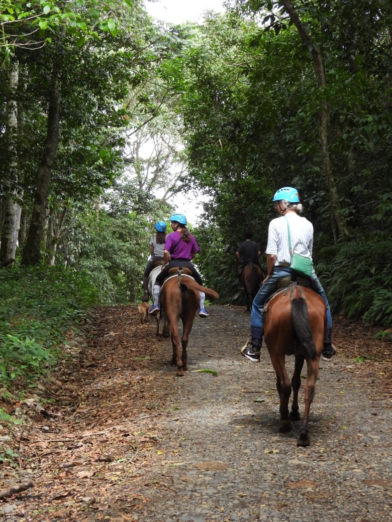 Imagen de Tour a Caballo Sarapiquí