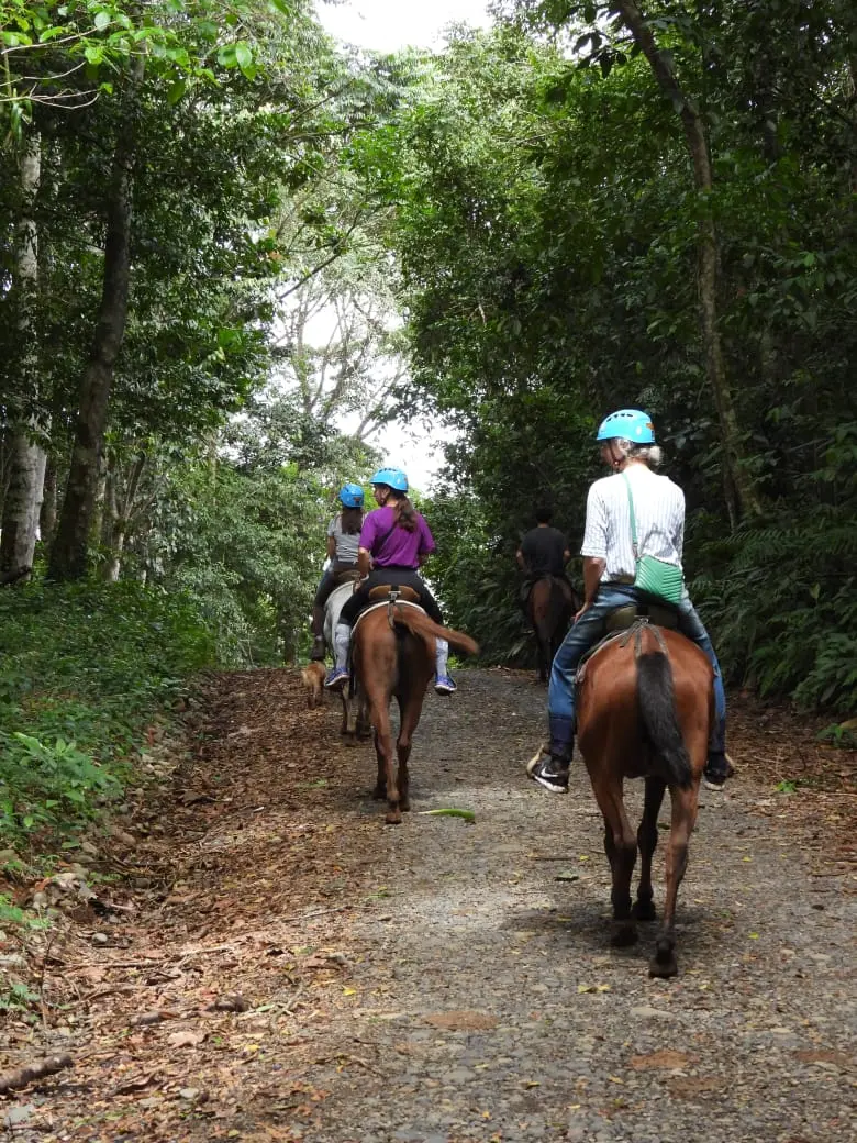 Imagen Horseback Sarapiquí