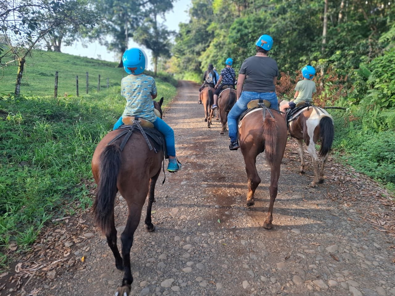 Imagen de Tour a Caballo Sarapiquí