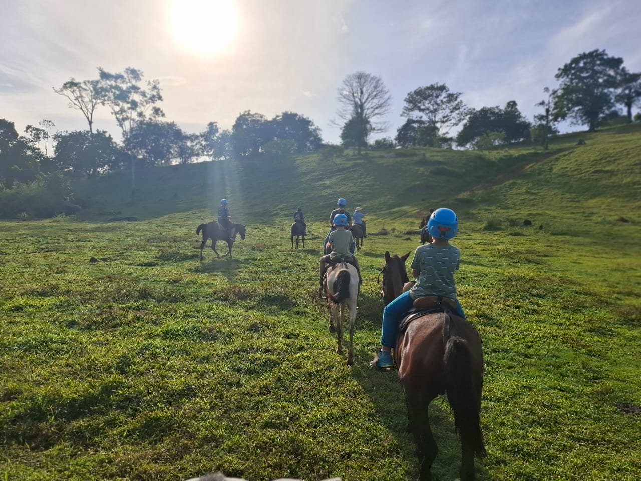 Imagen de Tour a Caballo Sarapiquí