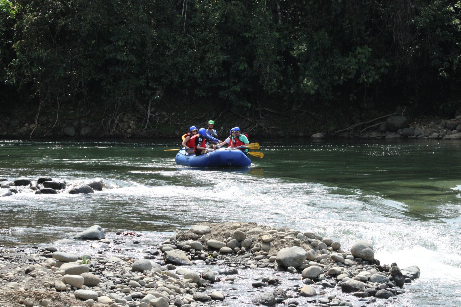 Safari Sarapiquí